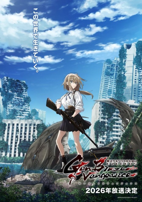 Magical Girl Lyrical Nanoha EXCEEDS Gun Blaze Vengeance